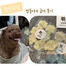 멍실멍실 이미지