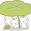 주공2단지 이미지