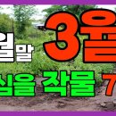 2월말 3월에 꼭심을 작물 7가지 이미지