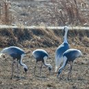 그림이있는 풍경 이미지