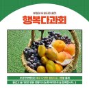 보금한방병원 이미지