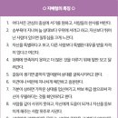 넌바운더리