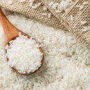 Wellness Gym 이미지