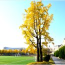 문태고등학교 이미지