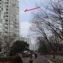 그린빌 10단지 이미지