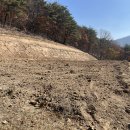 [가격내림]주변 유해 시설 없고 전망 좋은 집과 토지 판매(1900평) 이미지