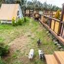 종난농장 이미지