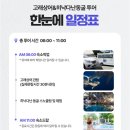 [업데이트 중] 보홀 세부 여행 일정, 항공권, 투어, 준비물 구매 내역 (내돈내산)