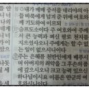 팔로주 이미지