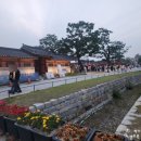 수원 가볼만한 곳 화성행궁 야간개장 달빛화담 &amp; 통닭거리 후기