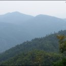 삼신봉 농장 Daum카페