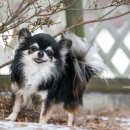 W&W(와앤와) 이미지