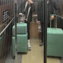 (버스)이충동현대아파트 | 🇭🇰01 홍콩여행 공항 숙소 초이홍아파트 록예딤섬 구룡공원 침사추이