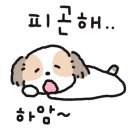 단이식당 이미지