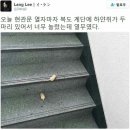 모다 이미지