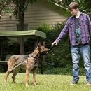 CW-1575-01 이미지