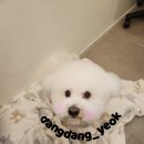 송내동3 이미지
