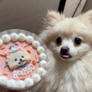 올바르개 | 하늘빛 캠핑장 (인천 영흥도)