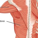 하트핏 휘트니스 이미지