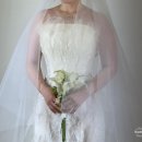 29170-4-A-25 | 25년 레이앤코 본식 드레스 가봉 실크 위주 2부 드레스 후기 드레스 업체 추천 (본식 사진 포함)