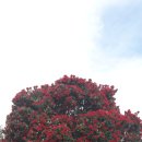 백천침구과한의원 이미지