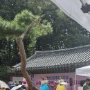매직플라워 네이버블로그