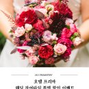 호텔프리마 이미지