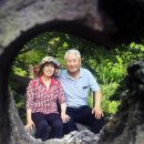 행복을파는장사꾼