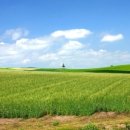 신목종합사회복지관 (시립시설) 이미지