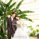 허밍베리 이미지