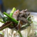 반딧불한우촌 이미지