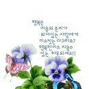 2월19일 수요일 출석부 고금도에 있는 묘당도 이충무공 유적 이미지