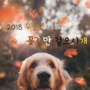 정인행정사사무소 이미지