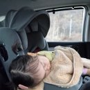 킹콩키즈풀빌라 | [가평 킹콩키즈풀빌라]키즈 풀빌라 이용 후기