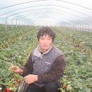 진정농장 이미지