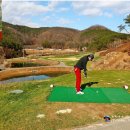 대가야컨트리클럽 이미지