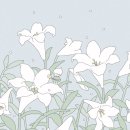 백합PC 이미지