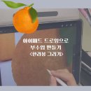 아이패드 드로잉 첫걸음부터 작품까지 | 아이패드 드로잉으로 부수입 만들기 한라봉 일러스트 크라우드픽 업로드 꿀팁