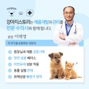 스토리펫 이미지