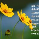 꽃바위약국 이미지