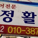 현정활어
