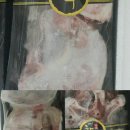 태백차차축산월곶 | 추석선물-한우사골세트