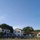 유다리길 이미지