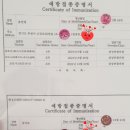 부부 우리 태권도장 이미지