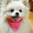 아이쁘다 - 익산시 | 아이쁘다