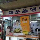 대운올챙이 이미지