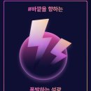 망디