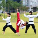 유신태권도 이미지