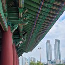 울산광역시 동구청 의회동 화장실 | 울산여행, 국가정원,태화강 태화루,대나무숲 , 울산 가볼 만한 곳
