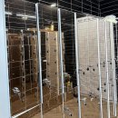 프라자충전소 | 나의 활력 충전소, 믿음직한 영통PT를 찾아서!